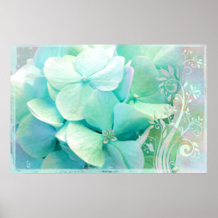 Elatie, Mint, Aqua Hydrangea Poster