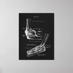 Elbow Joint Anatomy Canvas Art Afdruk