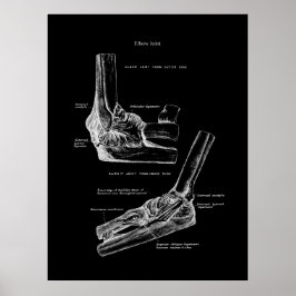 Elbow Joint Anatomy Orthopedic Wall Decor Poster
