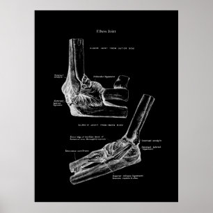 Elbow Joint Anatomy Orthopedic Wall Decor Poster