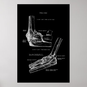 Elbow Joint Orthopedic Wall Decor Poster