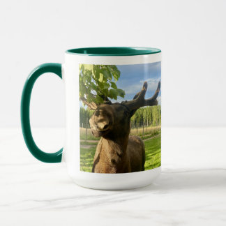 Elch-Tasse, Moose-Mug Mok