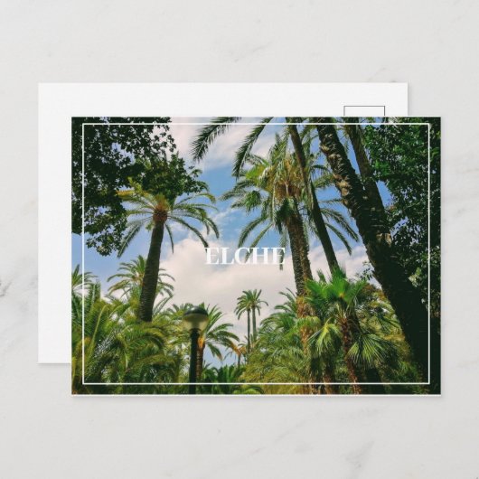 Elche Briefkaart (Voorkant / Achterkant)