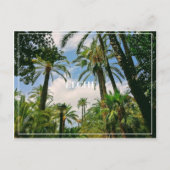 Elche Briefkaart (Voorkant)