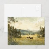 Elche im Sommer - Postkarte Briefkaart (Voorkant / Achterkant)