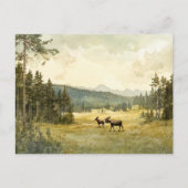 Elche im Sommer - Postkarte Briefkaart (Voorkant)