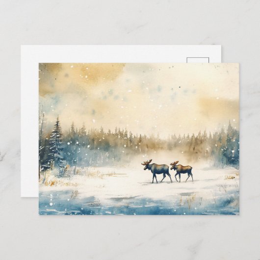 Elche im Winter - Postkarte Briefkaart (Voorkant / Achterkant)