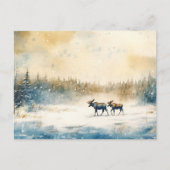 Elche im Winter - Postkarte Briefkaart (Voorkant)