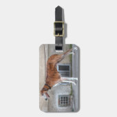 Elder Brindle Greyhound Bagagelabel (Voorkant verticaal)