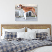 Elder Brindle Greyhound Canvas Afdruk (Insitu (Slaapkamer))