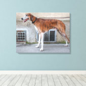 Elder Brindle Greyhound Canvas Afdruk (Insitu (Houten vloer))