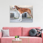 Elder Brindle Greyhound Canvas Afdruk (Insitu (Woonkamer))