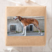 Elder Brindle Greyhound Etiket (Insitu)