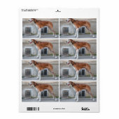 Elder Brindle Greyhound Etiket (Full Sheet)