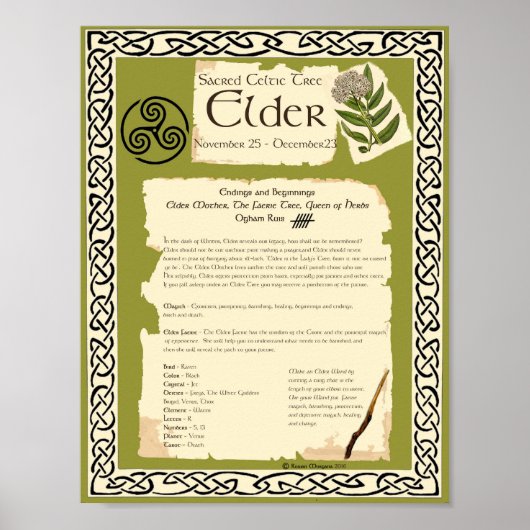 ELDER CELTIC SACRED TREE POSTER (Voorkant)