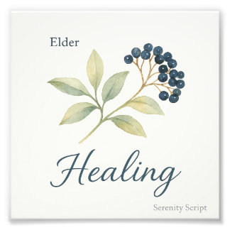 Elder — Healing Foto Afdruk