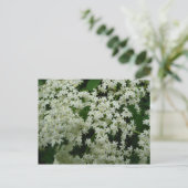 Elderberry Blossom Briefkaart (Staand voorkant)