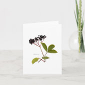 Elderberry Kaart (Voorkant)