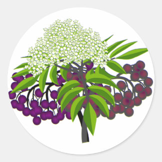 Elderberry Ronde Sticker