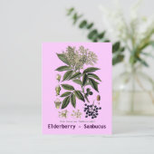 Elderberry Sambucus briefkaart (Staand voorkant)