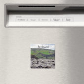 Eldhraun Lava Veld - Zuid-Ijsland Magneet (Insitu (Vaatwasser))