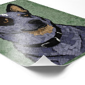 Eleanor de Blauwe Heeler Foto Afdruk (Hoek)