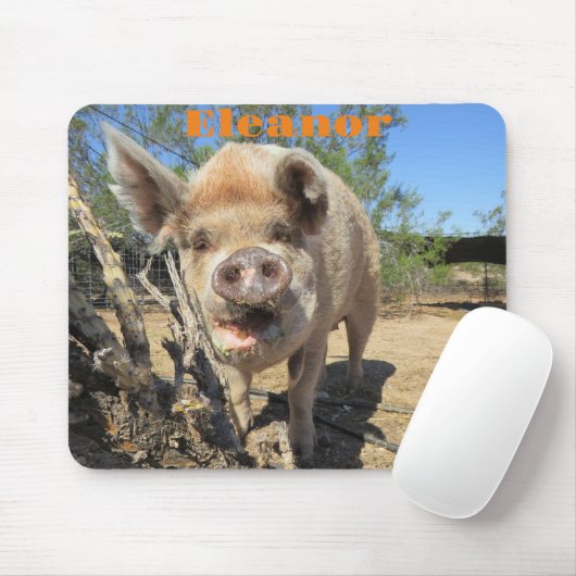 Eleanor Mousepad Muismat (Met muis)