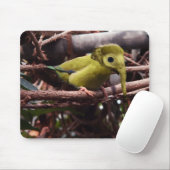 Elebird mousepad muismat (Met muis)