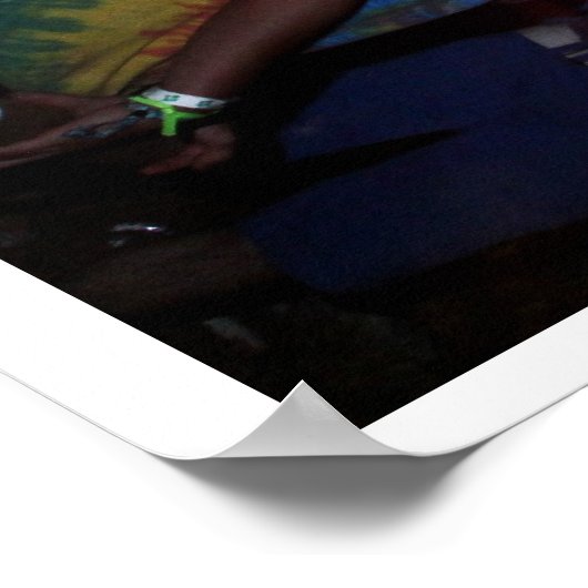 Electric Forest Festival Poster (Hoek)