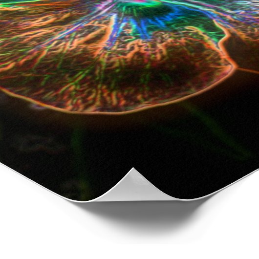 Electric Hibiscus Abstract Flower Art #2 Poster (Hoek)