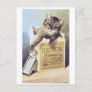 Electric Oil Kitten Trading Card Briefkaart