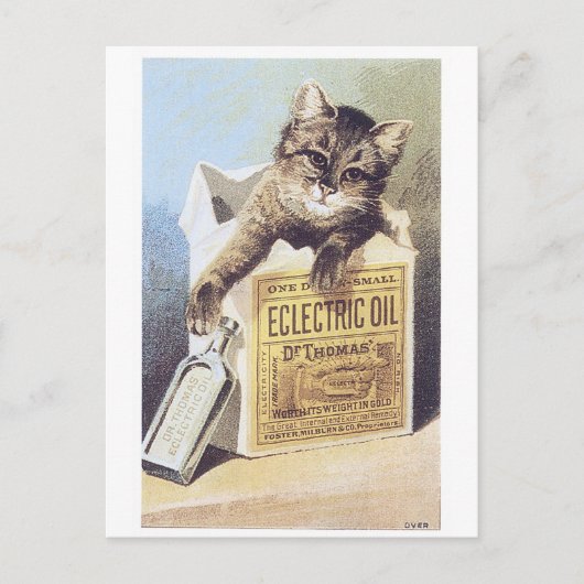 Electric Oil Kitten Trading Card Briefkaart (Voorkant)