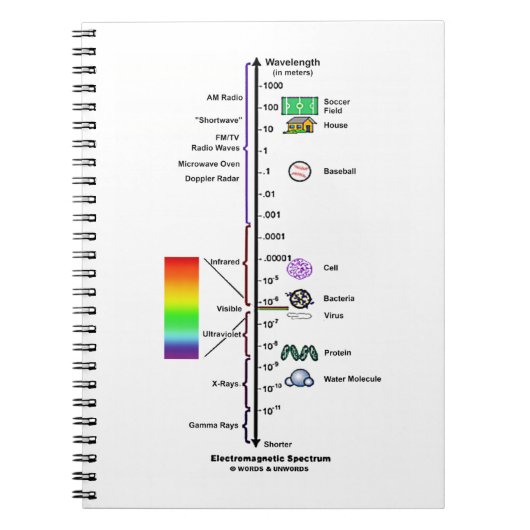 Electromagnetic Spectrum (Wavelengths Comparison) Notitieboek (Voorkant)