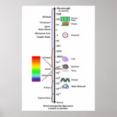 Electromagnetic Spectrum (Wavelengths Comparison) Poster (Voorkant)