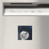 Electrum stater, c.600 BC Magneet (Insitu (Vaatwasser))