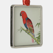Electus Parrot op een bamboevloed Metalen Ornament (Rechts)