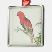 Electus Parrot op een bamboevloed Metalen Ornament (Links)