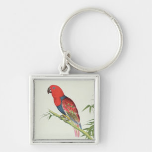 Electus Parrot op een bamboevloed Sleutelhanger