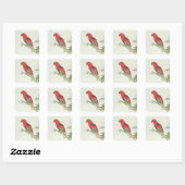 Electus Parrot op een bamboevloed Vierkante Sticker (Vel)