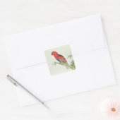 Electus Parrot op een bamboevloed Vierkante Sticker (Envelop)