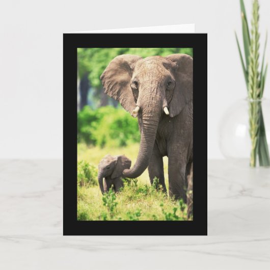 Elefant en Baby Kaart (Voorkant)