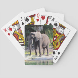 Elefant - fietspatcards speelkaarten