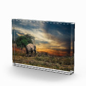 Elefant lopen bij zonsondergang fotoblokken (Rechts)