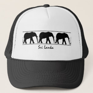 Elefant - Petten
