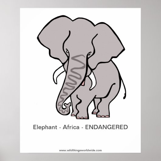 Elefant - poster (Voorkant)