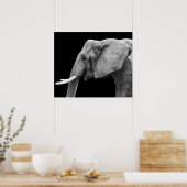 Elefant - Poster (Keuken)