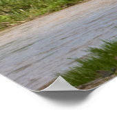 Elefant Poster in kleur (Hoek)