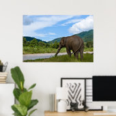 Elefant Poster in kleur (Thuiskantoor)