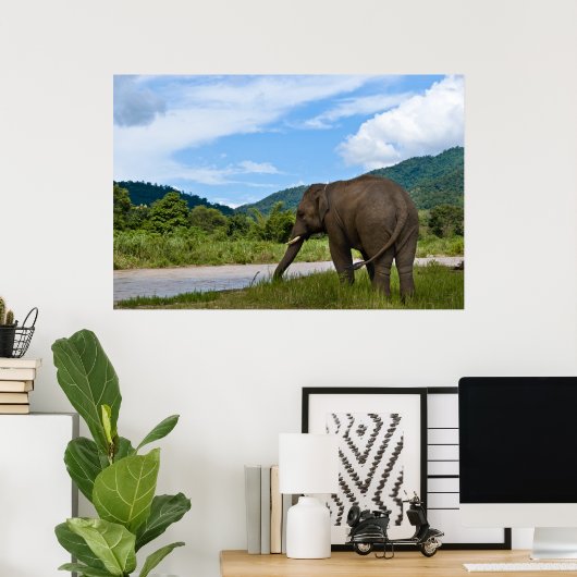 Elefant Poster in kleur (Thuiskantoor)