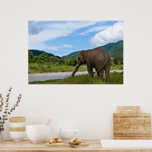 Elefant Poster in kleur (Keuken)